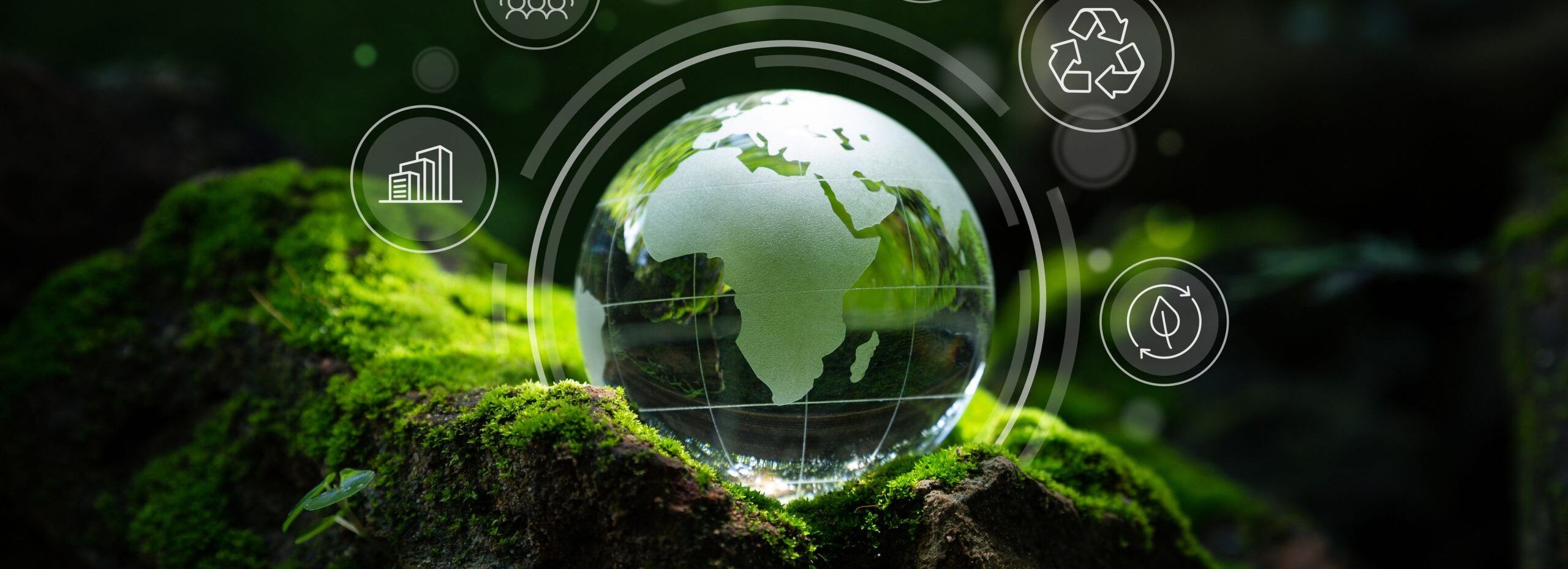 Corporate Sustainability Transformation: How Industry Leaders Drive Environmental Change(