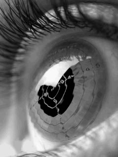 The Fast Rise of Quantum-as-a-Service Platforms