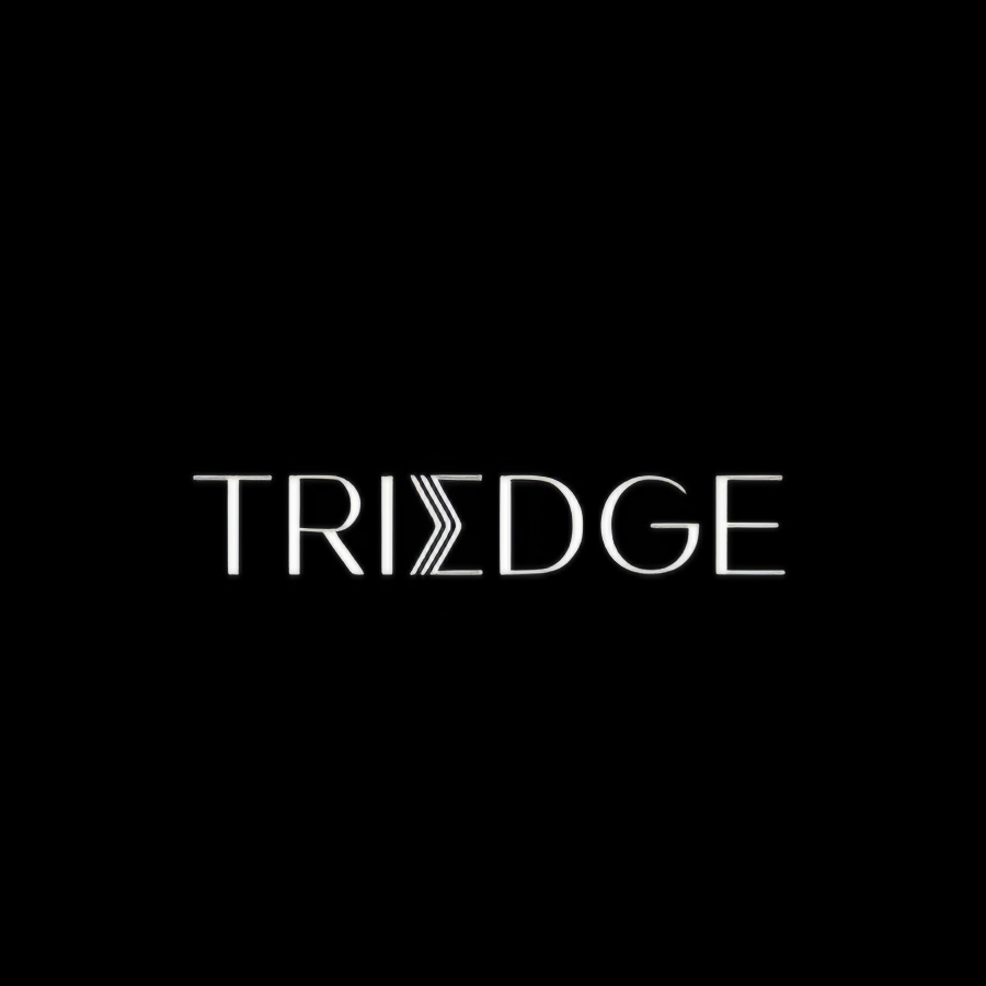 Triedge Investments Jobs