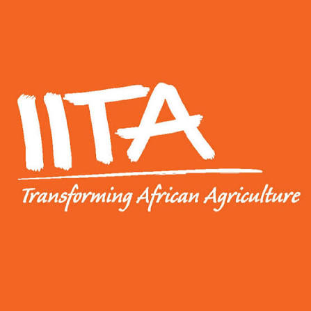 International Institute of Tropical Agriculture(IITA) Jobs