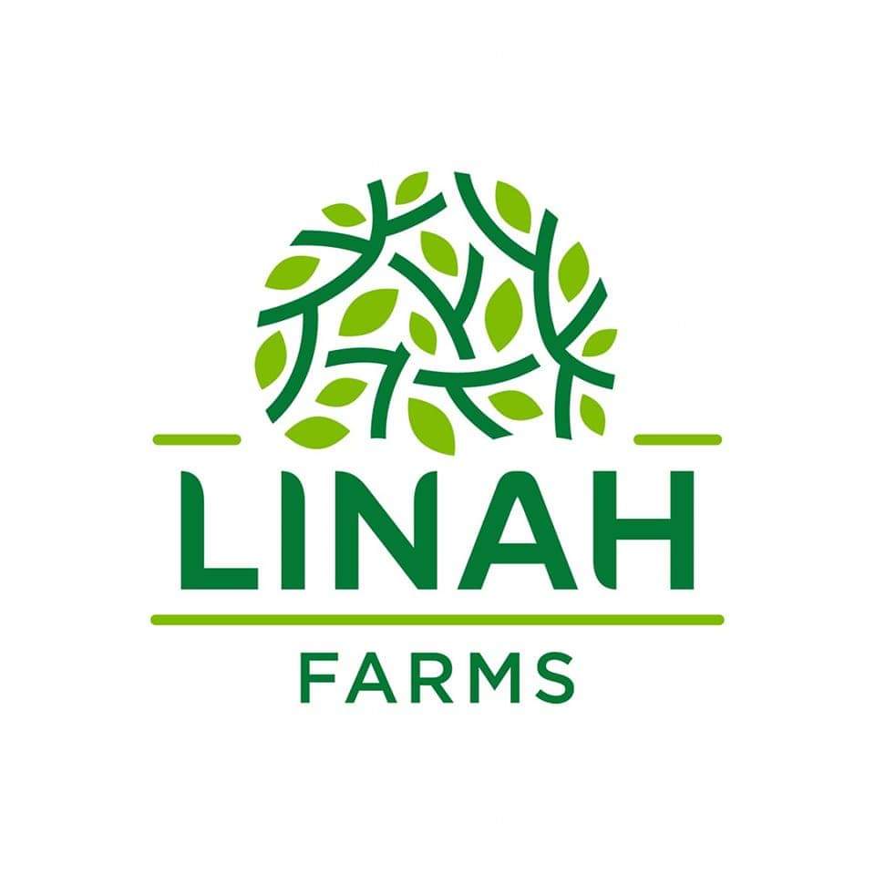 Linah Group Jobs