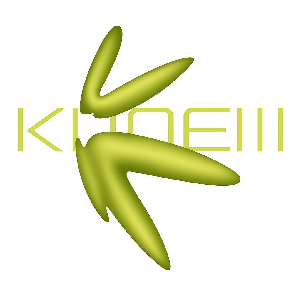 Konew Fintech Corporation Limited Jobs